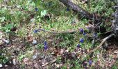 Tour Wandern Saint-Nizier-du-Moucherotte - Un petit AR sur le sentier du Périmètre  - Photo 10