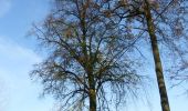 Tocht Te voet Heers - Heks Gele zeshoek - Photo 6