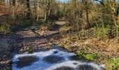 Tour Wandern Jemeppe-sur-Sambre - Ham s/ Sambre 090124 - Photo 5