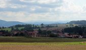 Tocht Te voet Bühren - Rundwanderweg Bühren 2 - Photo 6