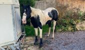 Tour Reiten Moyenmoutier - Chez Manu saint jean d’ormont - Photo 11