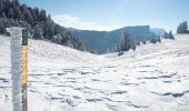 Randonnée Raquettes à neige Saint-Agnan-en-Vercors - Beure - Écondus - Photo 5