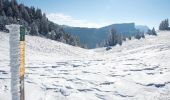 Tour Schneeschuhwandern Saint-Agnan-en-Vercors - Beure - Écondus - Photo 5