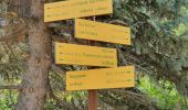 Trail Walking Valloire - Valloire-La Chapelle Saint-Pierre - Photo 14