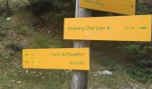 Trail Walking Val-Cenis - Bramans/fort de l'Esseillon - Photo 2