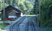 Tour Zu Fuß Flintsbach am Inn - Wanderweg 10 - Brannenburg - Photo 5