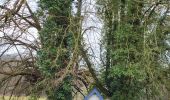 Trail Walking Thuin - Thuin 130325 - Photo 18