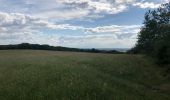 Tour Wandern Baignes - « Les évêques » depuis baignes jusqu à mont le bernois  - Photo 2