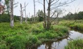 Tour Wandern Sainte-Ode - Beauplateau Ste Ode 240823 - Photo 11