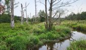 Tour Wandern Sainte-Ode - Beauplateau Ste Ode 240823 - Photo 11