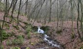 Tour Wandern Sprimont - 20240212 - Banneux 7.1 Km - Photo 4