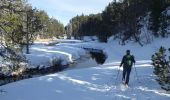 Trail Snowshoes Les Angles - 2021-02-11 Sortie CAF - Les Angles - vers les Camporells - Photo 1