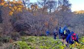 Tour Wandern La Garde-Freinet - SityTrail - Fort Freinet-la Garde-Freinet-02-06-23 - Photo 10