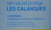 Trail Walking Cassis - XX-Cassis-Les Calanques-Miou-Pin-En Vau - Photo 1