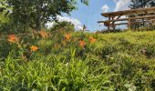 Trail Walking Les Clefs - le sulens  - Photo 1