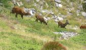 Excursión Senderismo Valdeblore - 2019-08-24_16h38m32_mont-giraud-rimplas - Photo 4