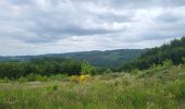 Trail Walking Vresse-sur-Semois - Allesur Semois 020625 - Photo 17