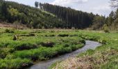 Randonnée Marche Gouvy - Au fil de l'eau - Gouvy   - Photo 6