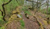 Tocht Stappen Bouillon - rando rochehaut 11 /05/2021 - Photo 6