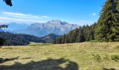 Tocht Stappen Manigod - ARAVIS: PLATEAU DE BEAUREGARD - Photo 17