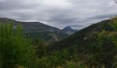 Randonnée Marche La Palud-sur-Verdon - La Palud sur Verdon Rougon - Photo 8