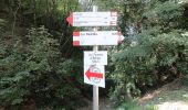 Trail On foot Roncola - Sentiero 861: Barzana - Palazzago - Monte Albenza (Sentiero del crinale) - Photo 7
