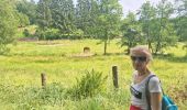 Trail On foot Bouillon - Lannoo GrWandArd 79 Bellevaux de watermolenwandeling (PVDB) - Photo 7