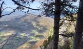 Trail Walking Le Bourget-du-Lac - Le Molard du mont du Chat - Photo 7