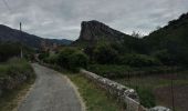 Trail Walking Saint-Jean-de-Buèges - St Jean de Buèges Pégayrole - Photo 2