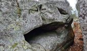 Excursión Senderismo Noisy-sur-École - Noisy-sur-Ecole - Abris ornés et cavités diverses - Photo 7