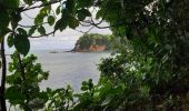 Tour Wandern La Trinité - École de pêche - Bourg Tartane  - Photo 5