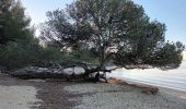 Tocht Stappen La Londe-les-Maures - Plage de l'Argentière à Cabasson en A/R-14-01-22 - Photo 2