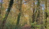 Tocht Stappen Mechelen - S-GR Dijleland : Muizen - Mechelen - Eppegem - Photo 3