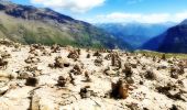 Tour Wandern Freissinières - Lac de Palluel, Faravel et Fangeas Via Dormillouse - Photo 11