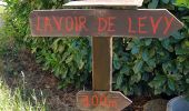 Tour Wandern Lentilly - Lentilly - le Poteau - Lévy 18/05/20 - Photo 10