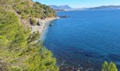 Excursión Senderismo La Seyne-sur-Mer - plage du 🐂  - Photo 8