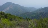 Trail On foot Ventimiglia - Sentiero Balcone Mediterraneo T1 - Photo 5