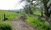 Randonnée A pied Eden - The Ullswater Way - Photo 2