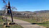 Tour Wandern Mittelweier - Les perles du vignoble  : Mittelwihr - Beblenheim - Zellenberg - Hunawihr - Riquewihr. - Photo 3