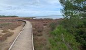 Randonnée Marche Vic-la-Gardiole - Le Bois des Aresquiers - Photo 2