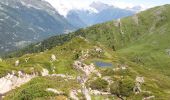 Tocht Stappen Chamonix-Mont-Blanc - Aiguillette des Posettes - Photo 7