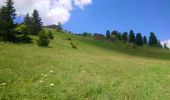 Tocht Stappen Modane - Valfréjus Granges Areplane Les Herbiers Boucle  - Photo 5