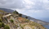 Tocht Te voet Unknown - Andros Routes 4 - Photo 1