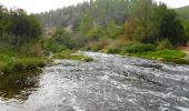 Excursión A pie מועצה אזורית מטה יהודה - נחל רפאים תחתון - Photo 2