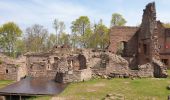 Excursión Senderismo Wangenbourg-Engenthal - Le donjon du Wangenbourg - Photo 19