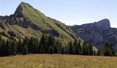 Randonnée Marche Glières-Val-de-Borne - BARGY: TRAVERSEE CENISE - LAC DE LESSY - PARADIS - Photo 6