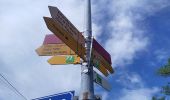 Percorso A piedi Rovray - Chemin du Vallon des Vaux - Photo 1