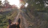 Trail Horseback riding Fronton - Trec 2 finalisé - Photo 2