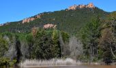 Tour Wandern Puget-sur-Argens - Pk La Lieutenante - Source St Martin - 3 étangs - Piste des Lauriers - Photo 4