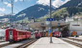 Tour Zu Fuß Disentis - Disla-Punt Russein - Photo 7